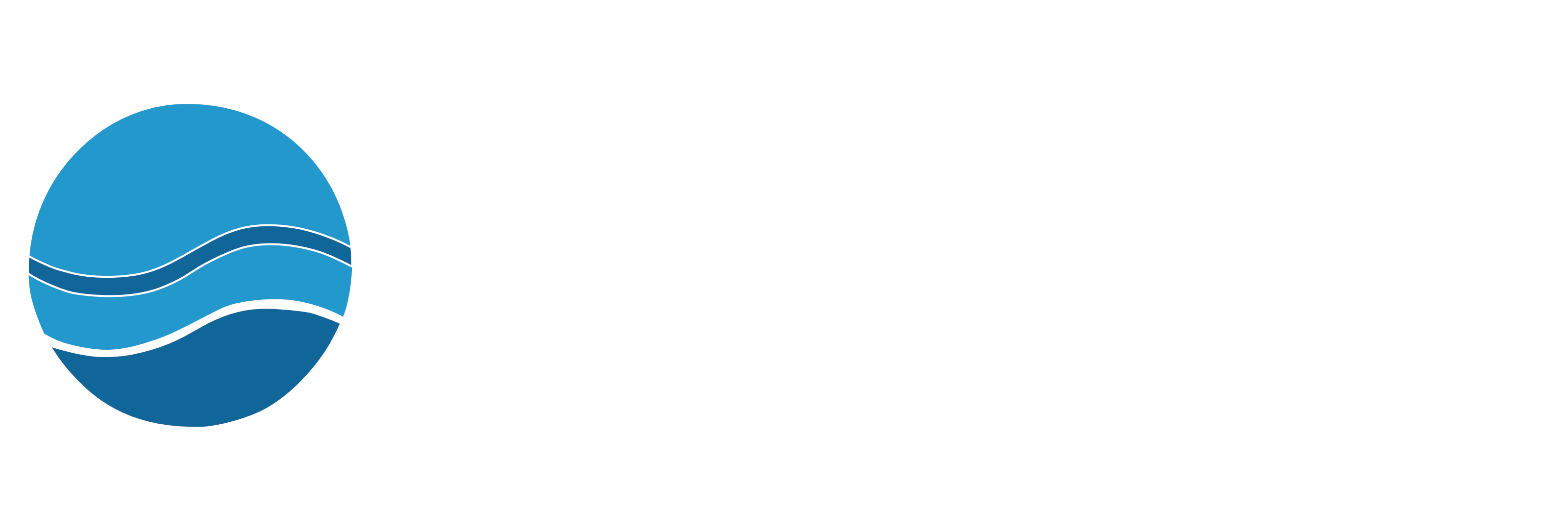 Project Ô