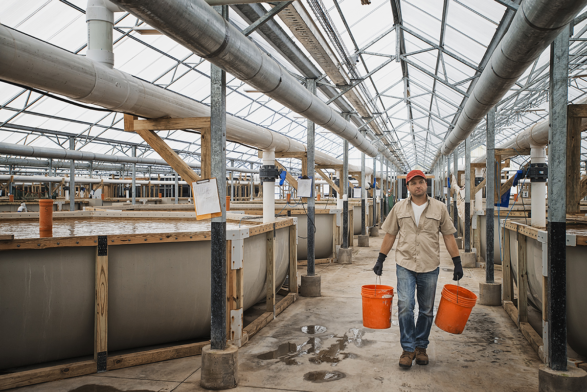 Land-based Mariculture