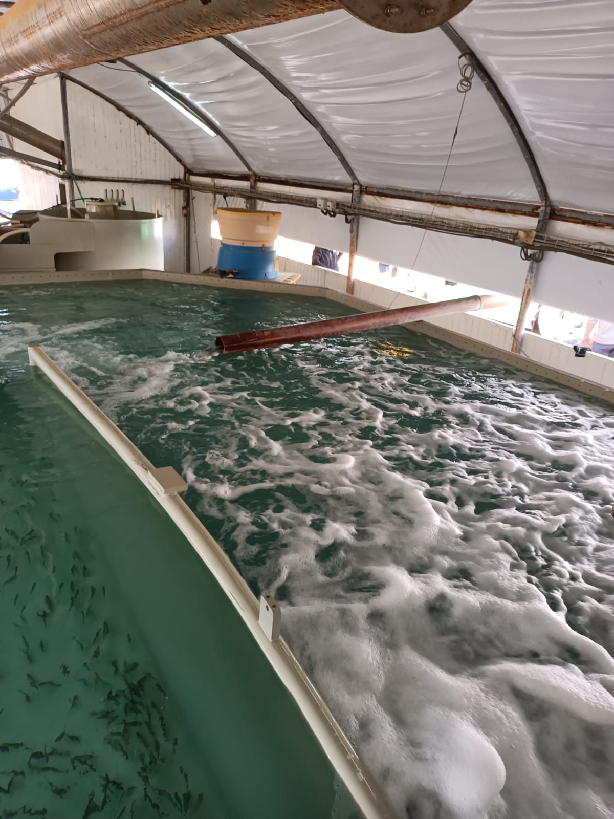 National Center for Mariculture